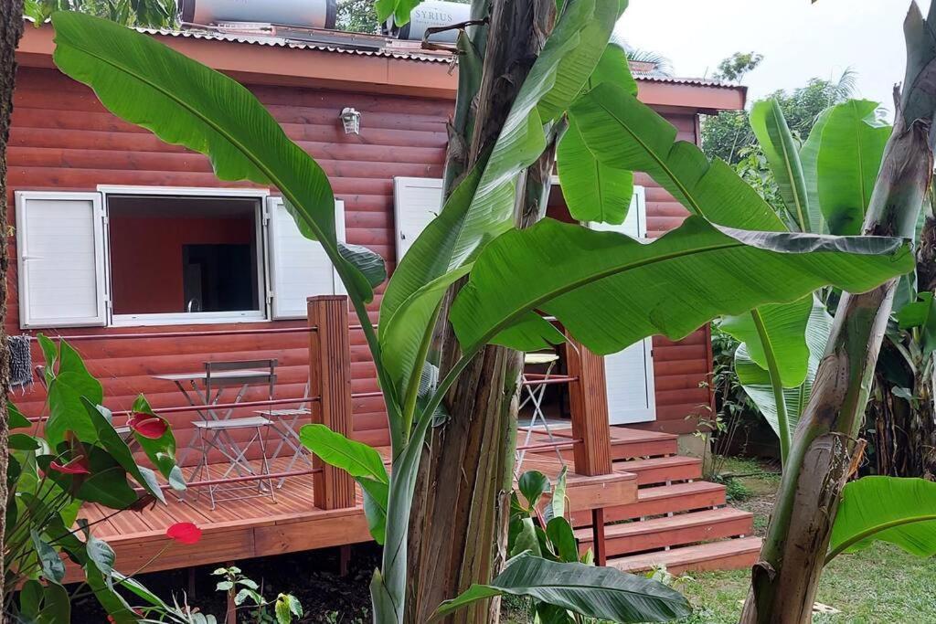 Chalet Les Azalees Le Tampon Exterior foto